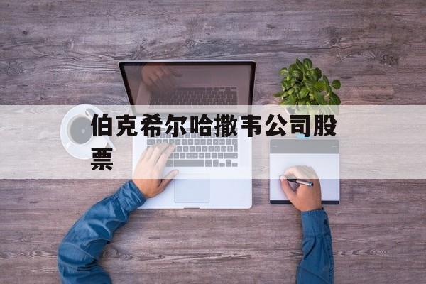 伯克希尔哈撒韦公司股票