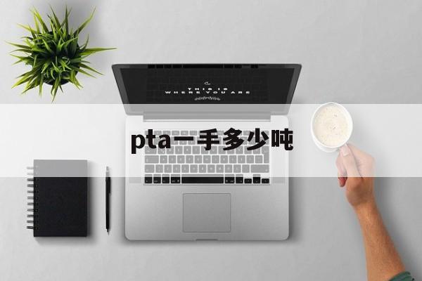 pta一手多少吨