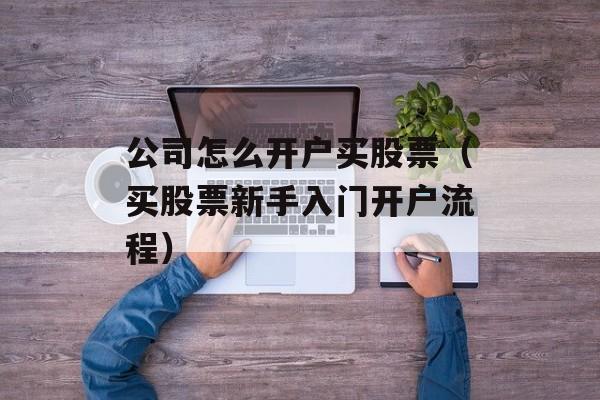 公司怎么开户买股票（买股票新手入门开户流程）