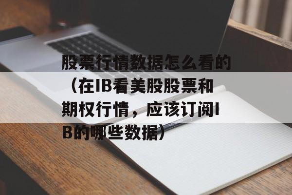 股票行情数据怎么看的（在IB看美股股票和期权行情，应该订阅IB的哪些数据）
