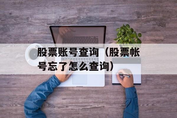 股票账号查询（股票帐号忘了怎么查询）