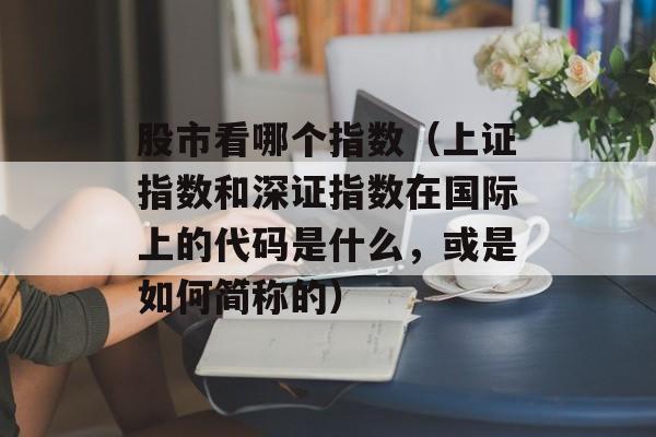 股市看哪个指数（上证指数和深证指数在国际上的代码是什么，或是如何简称的）