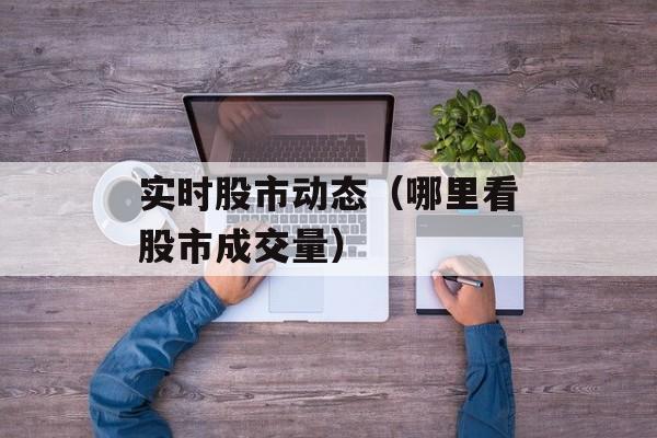 实时股市动态（哪里看股市成交量）
