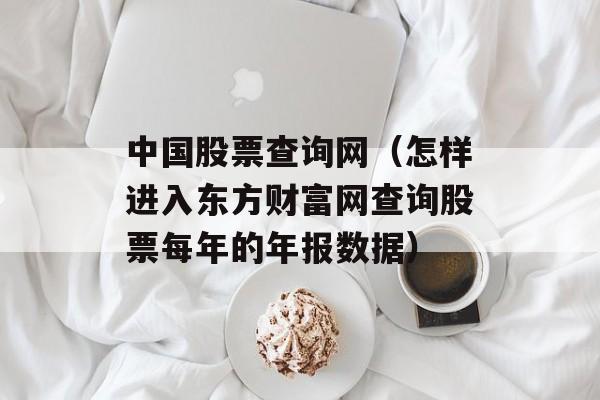 中国股票查询网（怎样进入东方财富网查询股票每年的年报数据）