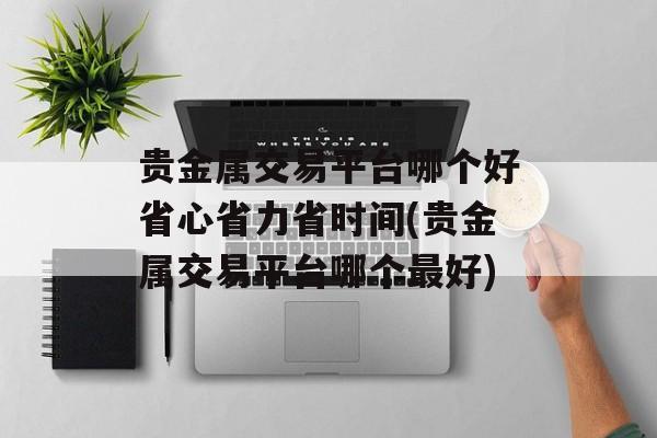 贵金属交易平台哪个好省心省力省时间(贵金属交易平台哪个最好)
