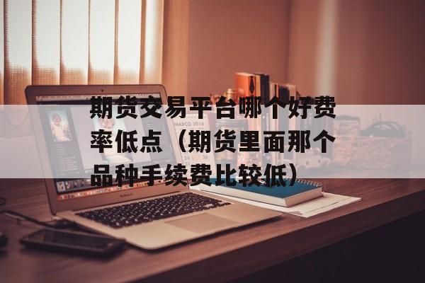 期货交易平台哪个好费率低点（期货里面那个品种手续费比较低）