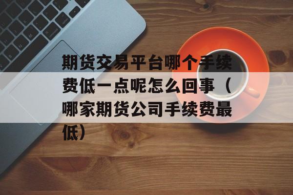 期货交易平台哪个手续费低一点呢怎么回事（哪家期货公司手续费最低）