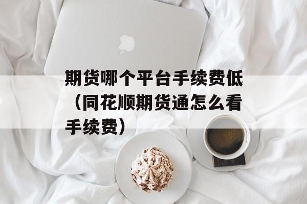 期货哪个平台手续费低（同花顺期货通怎么看手续费）