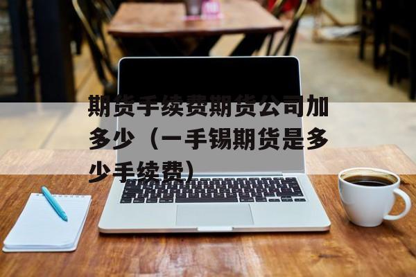 期货手续费期货公司加多少（一手锡期货是多少手续费）