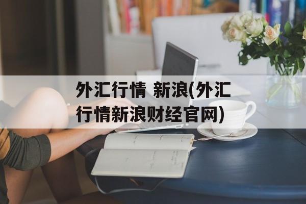 外汇行情 新浪(外汇行情新浪财经官网)
