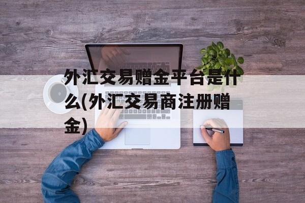外汇交易赠金平台是什么(外汇交易商注册赠金)