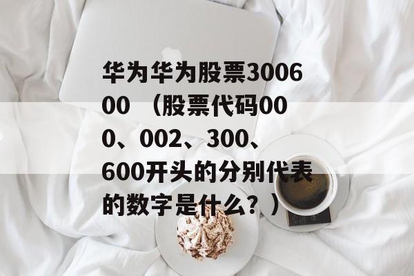 华为华为股票300600 （股票代码000、002、300	、600开头的分别代表的数字是什么？）